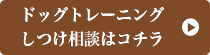 ドッグトレーニング　しつけ相談はコチラ