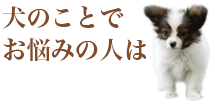 犬のことでお悩みの人は